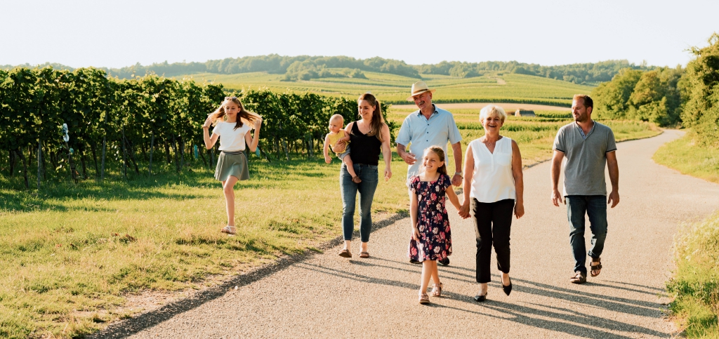 Vorteile Crowdfunding Mit Sunshine Wine zu Weingut Netzl