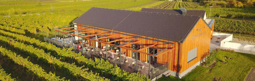 Die Weingärten des Weingut Kellner